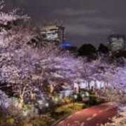 ヒメ日記 2026/03/28 08:30 投稿 浅倉 人妻風俗チャンネル