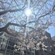 ヒメ日記 2026/03/28 20:46 投稿 浅倉 人妻風俗チャンネル