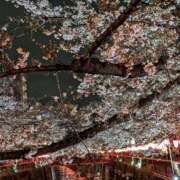 ヒメ日記 2026/03/30 23:07 投稿 浅倉 人妻風俗チャンネル