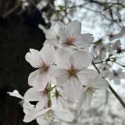 ヒメ日記 2026/04/02 21:21 投稿 浅倉 人妻風俗チャンネル