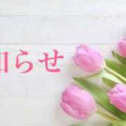 ヒメ日記 2026/04/16 22:49 投稿 浅倉 人妻風俗チャンネル