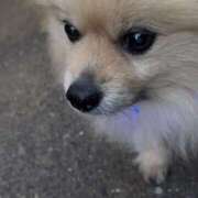 ヒメ日記 2026/04/19 22:03 投稿 浅倉 人妻風俗チャンネル