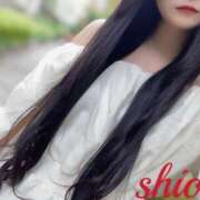 ヒメ日記 2025/06/27 13:47 投稿 しおん 東京妻next (京都グループ)