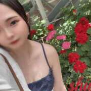 ヒメ日記 2025/07/18 10:36 投稿 しおん 東京妻next (京都グループ)