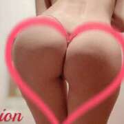 ヒメ日記 2025/09/15 11:56 投稿 しおん 東京妻next (京都グループ)