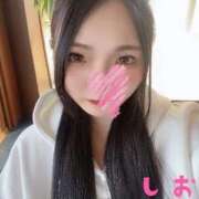 ヒメ日記 2025/11/19 12:06 投稿 しおん 東京妻next (京都グループ)