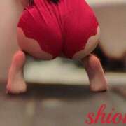 ヒメ日記 2025/11/20 23:56 投稿 しおん 東京妻next (京都グループ)