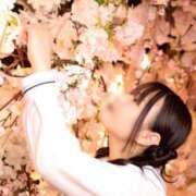 ヒメ日記 2026/03/13 13:36 投稿 しおん 東京妻next