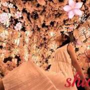 ヒメ日記 2026/03/31 11:56 投稿 しおん 東京妻next