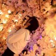 ヒメ日記 2026/04/02 15:26 投稿 しおん 東京妻next