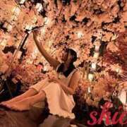 ヒメ日記 2026/04/03 06:06 投稿 しおん 東京妻next