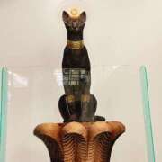 ヒメ日記 2025/02/15 20:01 投稿 ジェシカ アラビアンナイト