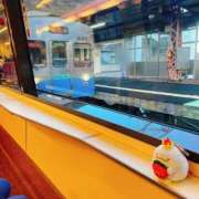 ヒメ日記 2025/03/22 20:00 投稿 ジェシカ アラビアンナイト