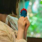 ヒメ日記 2025/08/31 20:00 投稿 ジェシカ アラビアンナイト