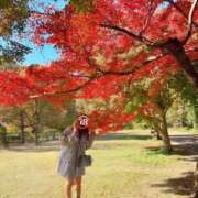 ヒメ日記 2025/11/26 12:16 投稿 ありさ ニューヨークニューヨーク