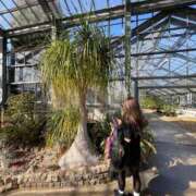 ヒメ日記 2026/02/11 07:58 投稿 ありさ ニューヨークニューヨーク