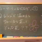 ヒメ日記 2024/06/29 17:03 投稿 せいら☆可愛すぎる未経験性徒♪ 妹系イメージSOAP萌えフードル学園 大宮本校