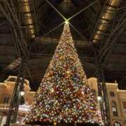 ヒメ日記 2024/12/18 18:58 投稿 せいら☆可愛すぎる未経験性徒♪ 妹系イメージSOAP萌えフードル学園 大宮本校