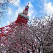 ヒメ日記 2025/04/05 15:25 投稿 せいら☆可愛すぎる未経験性徒♪ 妹系イメージSOAP萌えフードル学園 大宮本校