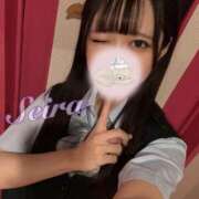 ヒメ日記 2025/08/09 16:36 投稿 せいら☆可愛すぎる未経験性徒♪ 妹系イメージSOAP萌えフードル学園 大宮本校