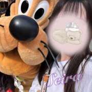 ヒメ日記 2025/08/27 16:59 投稿 せいら☆可愛すぎる未経験性徒♪ 妹系イメージSOAP萌えフードル学園 大宮本校