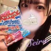 ヒメ日記 2025/08/28 19:21 投稿 せいら☆可愛すぎる未経験性徒♪ 妹系イメージSOAP萌えフードル学園 大宮本校