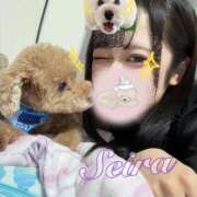 ヒメ日記 2025/09/08 17:16 投稿 せいら☆可愛すぎる未経験性徒♪ 妹系イメージSOAP萌えフードル学園 大宮本校