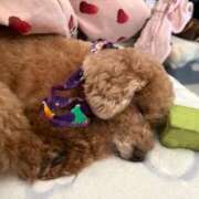 ヒメ日記 2025/10/28 22:37 投稿 せいら☆可愛すぎる未経験性徒♪ 妹系イメージSOAP萌えフードル学園 大宮本校