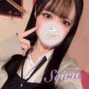 ヒメ日記 2025/11/14 16:21 投稿 せいら☆可愛すぎる未経験性徒♪ 妹系イメージSOAP萌えフードル学園 大宮本校