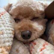 ヒメ日記 2026/02/01 16:07 投稿 せいら☆可愛すぎる未経験性徒♪ 妹系イメージSOAP萌えフードル学園 大宮本校