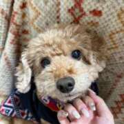 ヒメ日記 2026/02/24 16:55 投稿 せいら☆可愛すぎる未経験性徒♪ 妹系イメージSOAP萌えフードル学園 大宮本校