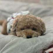 ヒメ日記 2026/02/26 00:30 投稿 せいら☆可愛すぎる未経験性徒♪ 妹系イメージSOAP萌えフードル学園 大宮本校