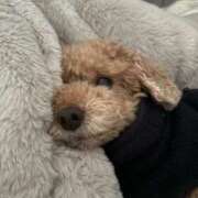 ヒメ日記 2026/03/27 17:22 投稿 せいら☆可愛すぎる未経験性徒♪ 妹系イメージSOAP萌えフードル学園 大宮本校