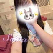 ヒメ日記 2026/05/29 17:42 投稿 せいら☆可愛すぎる未経験性徒♪ 妹系イメージSOAP萌えフードル学園 大宮本校