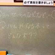 ヒメ日記 2026/06/29 00:38 投稿 せいら☆可愛すぎる未経験性徒♪ 妹系イメージSOAP萌えフードル学園 大宮本校