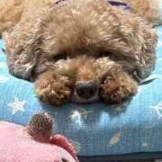 ヒメ日記 2026/09/18 22:49 投稿 せいら☆可愛すぎる未経験性徒♪ 妹系イメージSOAP萌えフードル学園 大宮本校