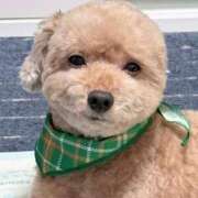 せいら☆可愛すぎる未経験性徒♪ あと2枠❣️ 妹系イメージSOAP萌えフードル学園 大宮本校