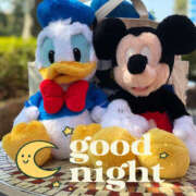 ヒメ日記 2025/03/09 23:31 投稿 あすか 春日部人妻花壇