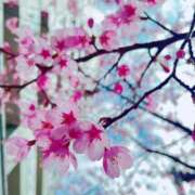 ヒメ日記 2026/03/17 19:52 投稿 なみ 11チャンネル