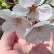 ヒメ日記 2026/03/22 20:29 投稿 なみ 11チャンネル