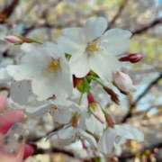 ヒメ日記 2026/04/10 12:15 投稿 なみ 11チャンネル