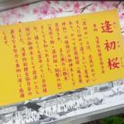 ヒメ日記 2026/04/23 12:59 投稿 なみ 11チャンネル