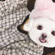 ヒメ日記 2025/03/28 09:21 投稿 もも 人妻・若妻デリヘル レディプレイス