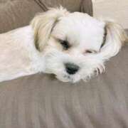 ヒメ日記 2025/04/23 19:37 投稿 もも 人妻・若妻デリヘル レディプレイス