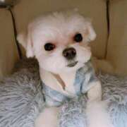 ヒメ日記 2025/06/06 23:54 投稿 もも 人妻・若妻デリヘル レディプレイス