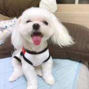 ヒメ日記 2025/06/22 10:45 投稿 もも 人妻・若妻デリヘル レディプレイス