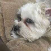 ヒメ日記 2025/09/10 18:34 投稿 もも 人妻・若妻デリヘル レディプレイス