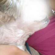 ヒメ日記 2025/11/02 10:55 投稿 もも 人妻・若妻デリヘル レディプレイス