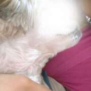 ヒメ日記 2025/12/01 10:51 投稿 もも 人妻・若妻デリヘル レディプレイス