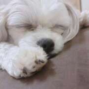 ヒメ日記 2026/03/21 09:40 投稿 もも 人妻・若妻デリヘル レディプレイス